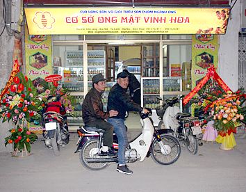 <a href='/'>Ong mật vinh hoa</a>