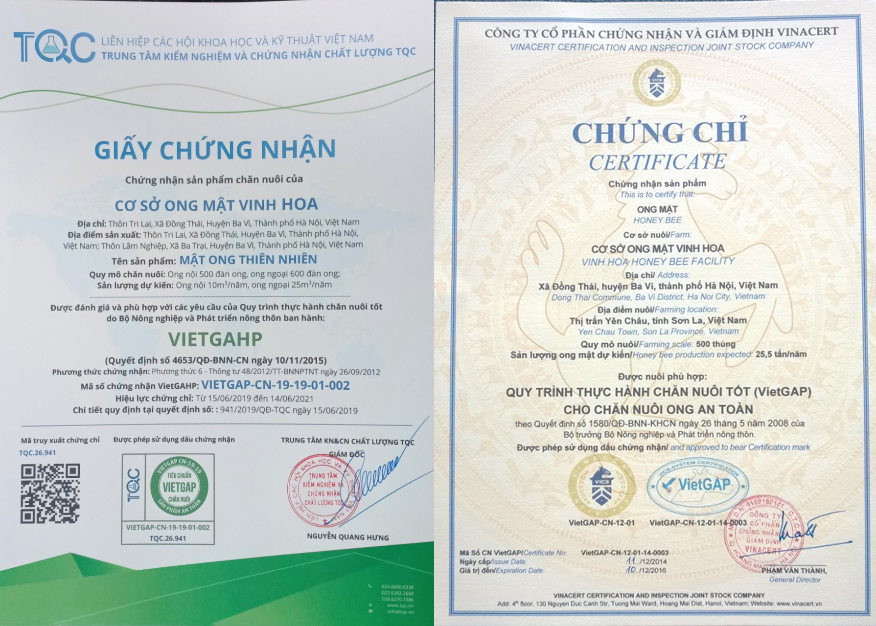 Chứng chỉ và chứng nhận nuôi ong vietgap